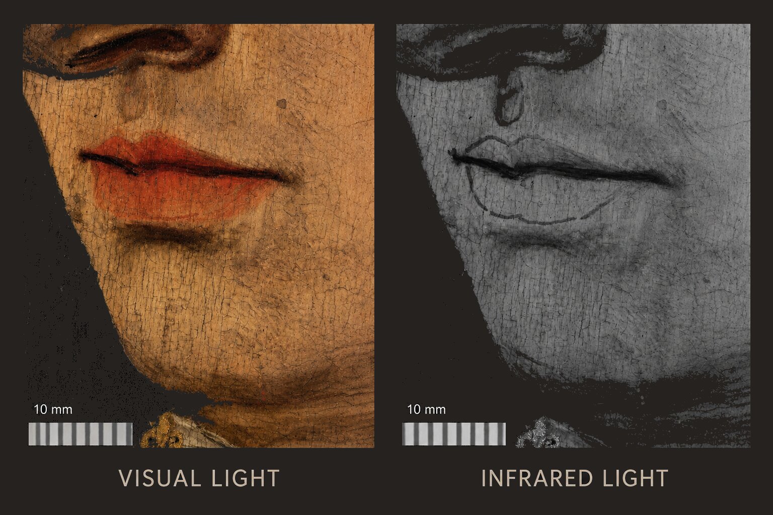 Visual and infrared light comparison of a portrait detail