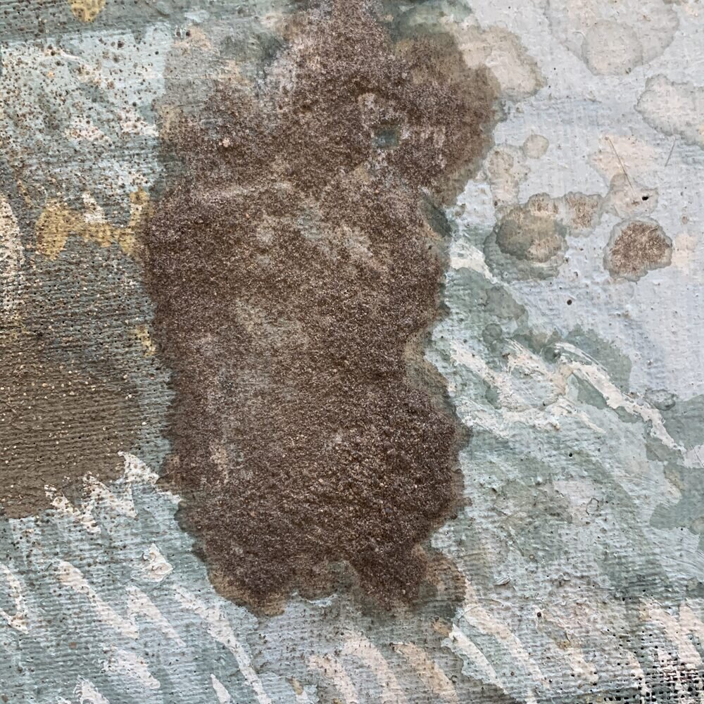 Mould damage on the surface of a canvas painting