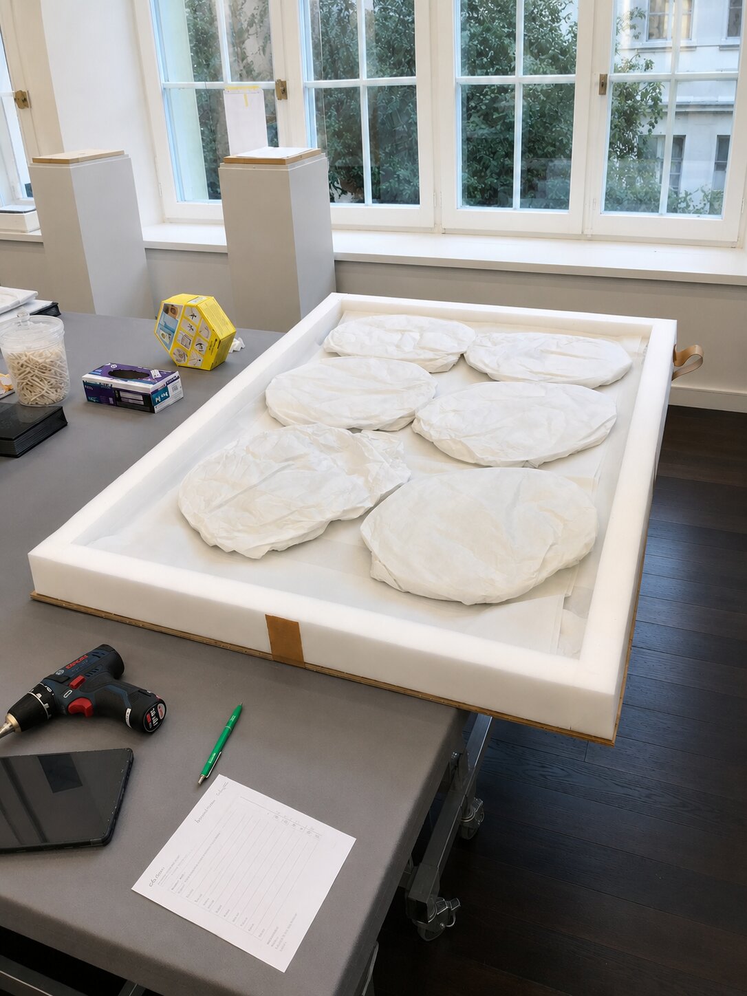 Mounted objects prepared in a display case