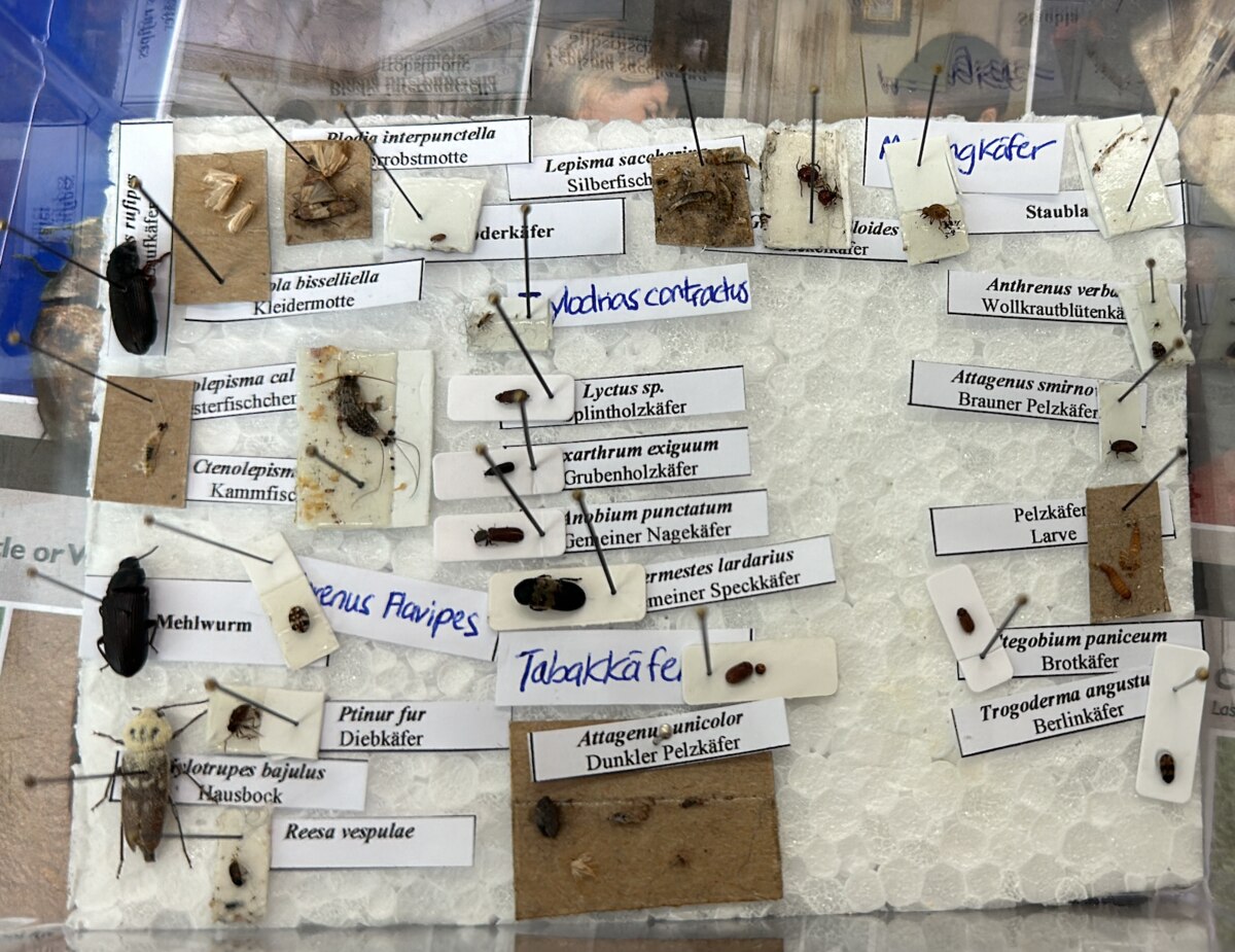 Pest identification reference board used for integrated pest management